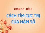Cực trị của hàm số là gì? Cách tìm cực trị (cực đại, cực tiểu) của hàm số - Giải tích 12 bài 2